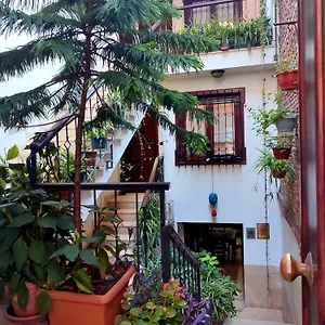 4* Hotel Sphendone